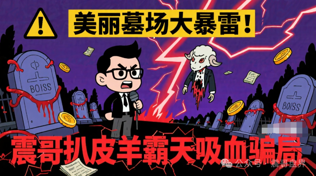 【羊霸天】这项目从一开始就是个坑，给你们捋捋这帮人是怎么玩套路的。